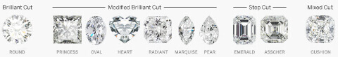 classification